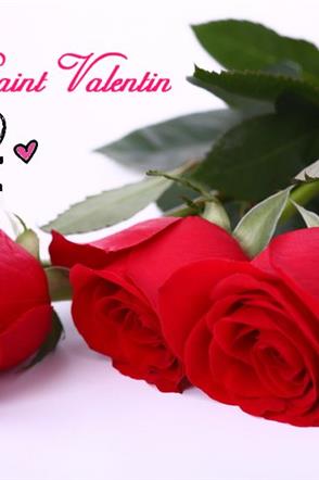 Roses Saint-Valentin